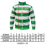 Obrazek Bluza Lechia Gdańsk bez kaptura Pasiak