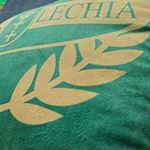 Obrazek Poduszka Lechii Gdańsk Herb welurowa