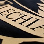 Obrazek Koszulka 3D Lechia Gdańsk złoty Herb